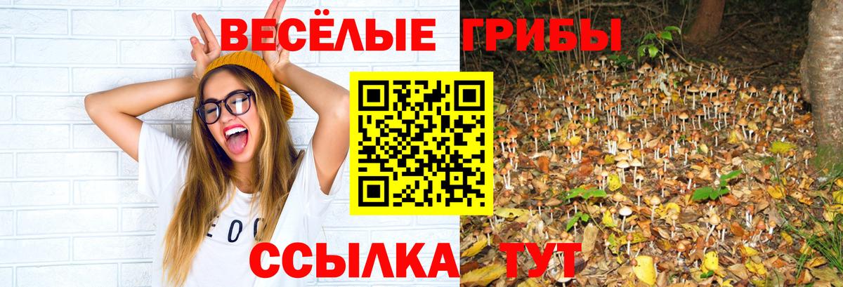 Псилоцибиновые грибы мицелий Можайск