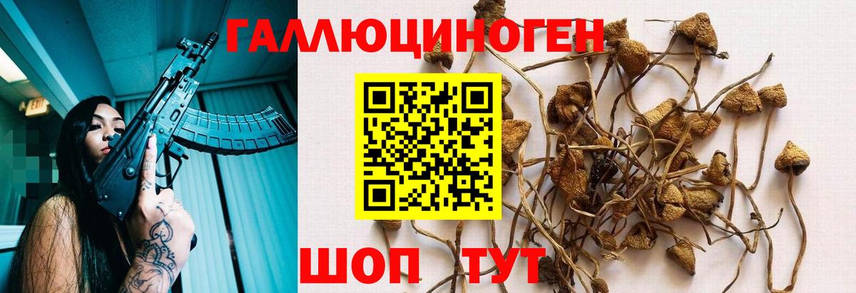 Можайск  Галлюциногенные грибы GOLDEN TEACHER  Вход с VPN 